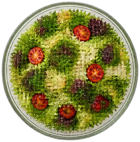 Salatka